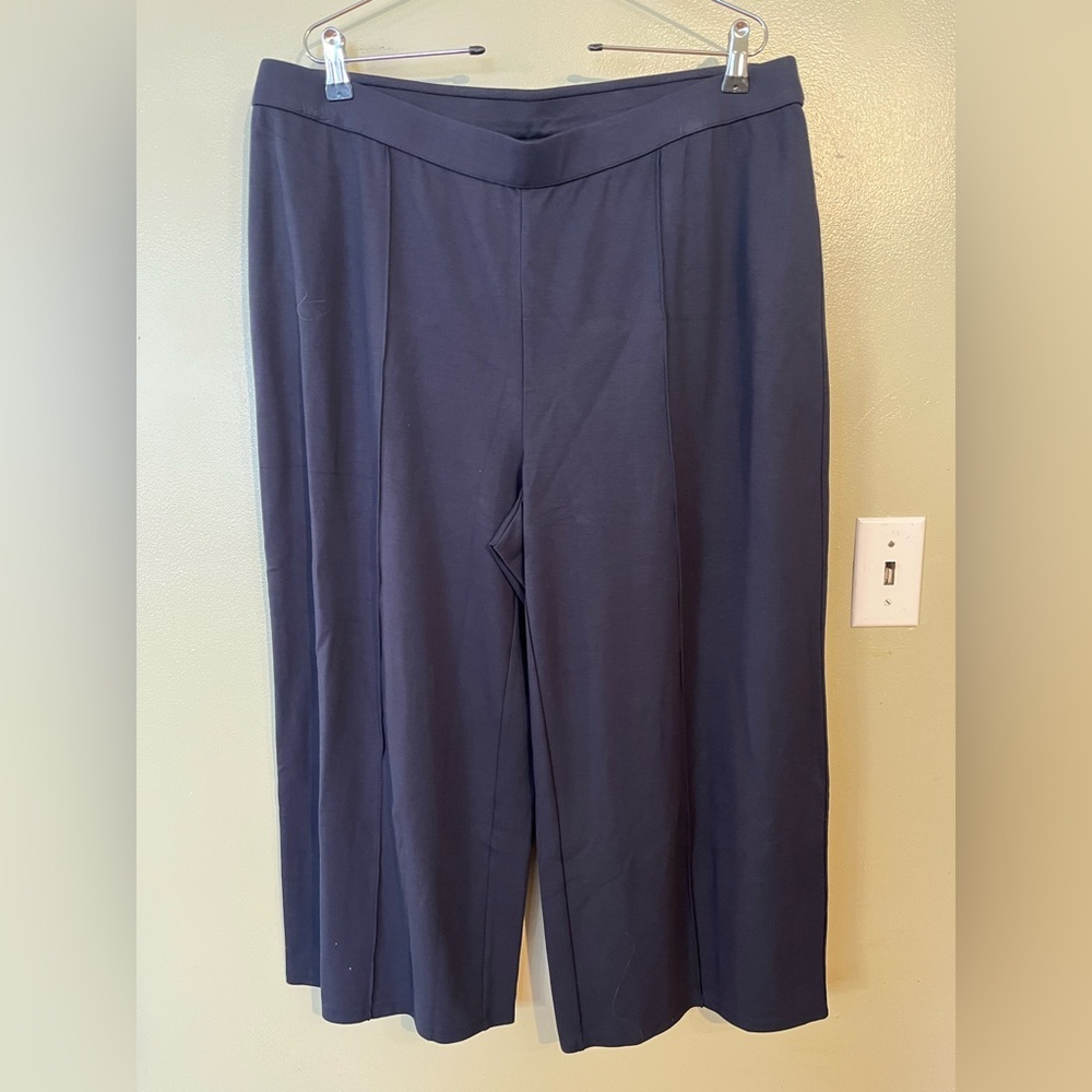 J. Jill Deep Blue Wide Leg Pants Crop Pull On Stretch 2X New